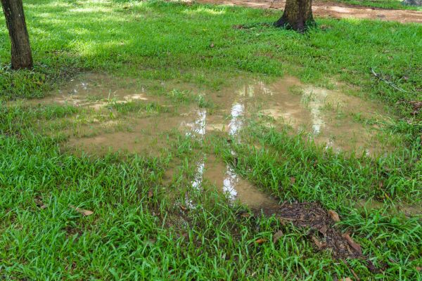 Storm Water Drainage Service in Springfield