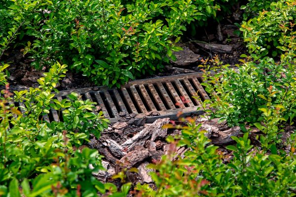 Underground Drainage Service in Springfield