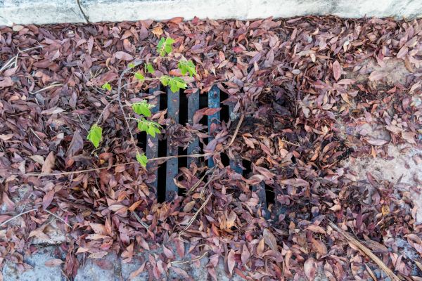 Yard Drain Unclogging in Springfield