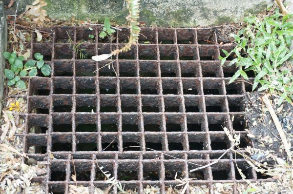 Yard Drain Cleaning in Springfield