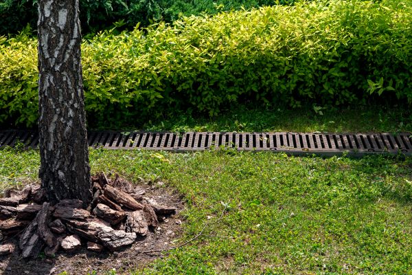Wet Yard Drainage in Springfield