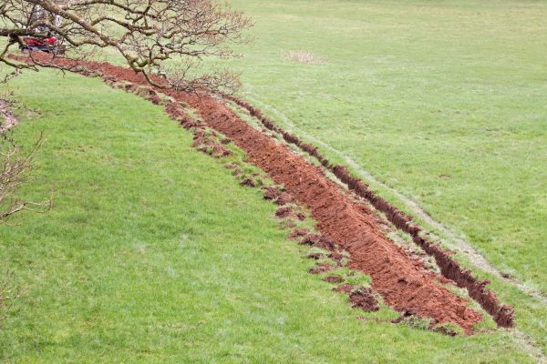 Cost of Swale Installation in Springfield