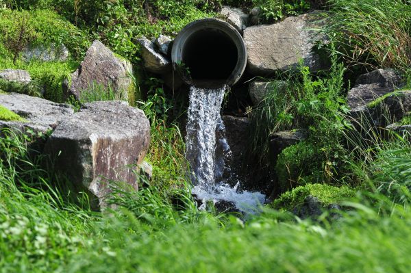 Water Redirection in Springfield