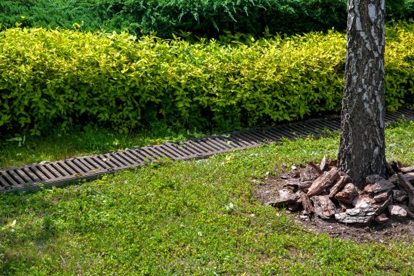Residential Landscape Drainage in Springfield