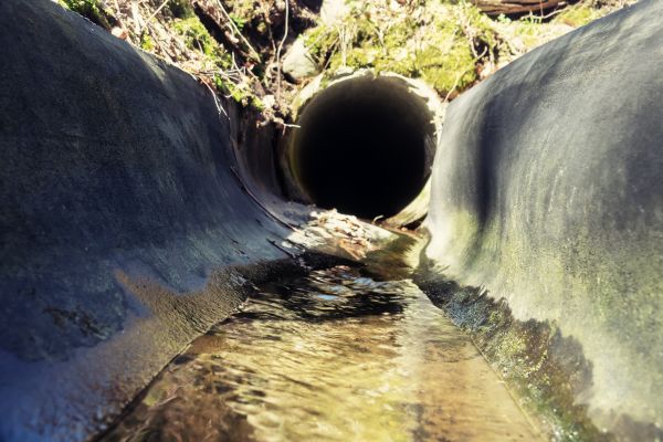 Drainage Swale Installation in Springfield