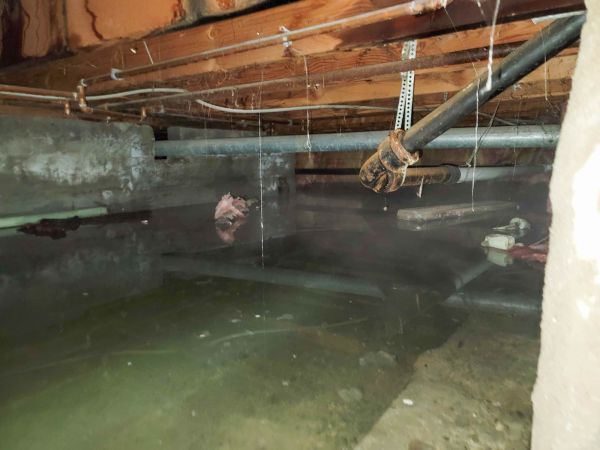 Cost of Crawlspace Drainage in Springfield