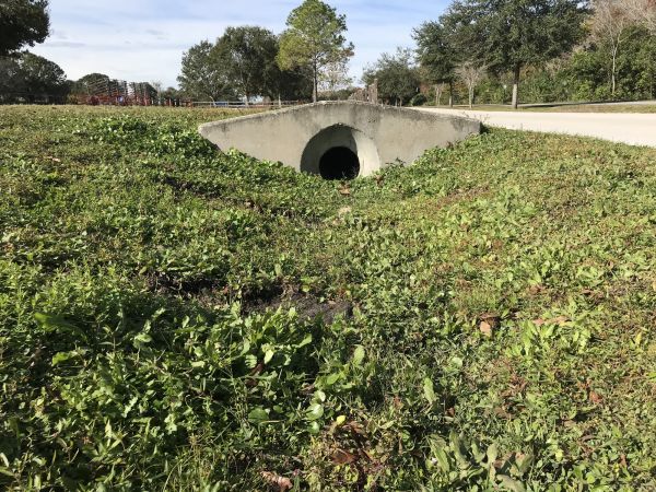 Cost of Swale Drainage Service in Springfield