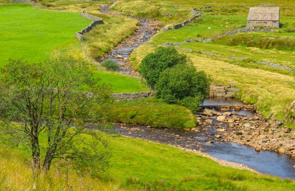 Swale Repair in Springfield